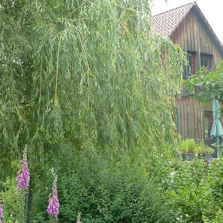 Ferienwohnung Lotti Brotterode Rom bilde