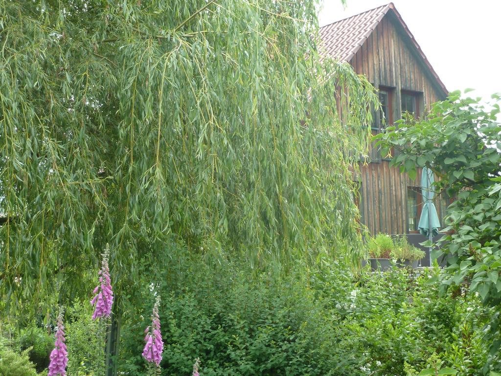 Ferienwohnung Lotti Brotterode Rom bilde